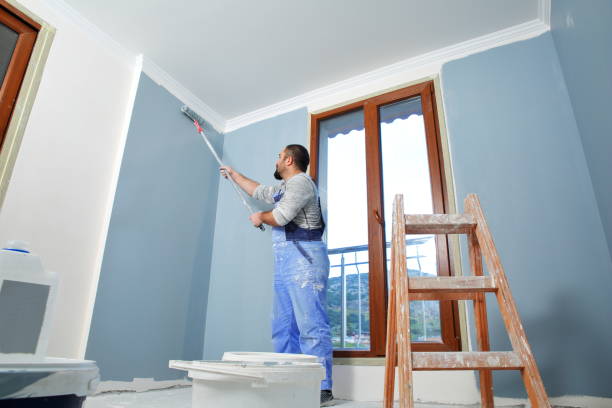 Best Drywall Sanding and Smoothing  in Roaring Spring, PA