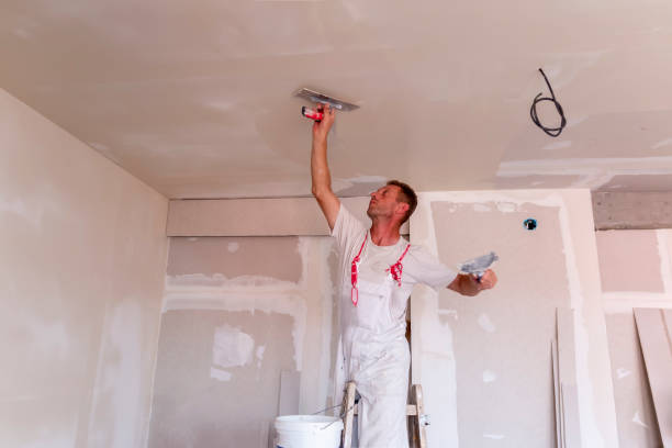 Best Drywall Texturing  in Roaring Spring, PA